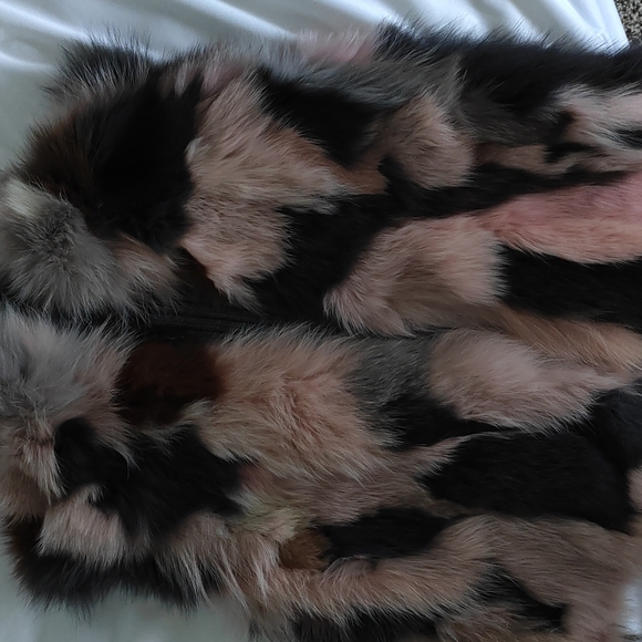 Bcbgmaxzaria real foxfur vest - Picture 2 of 5